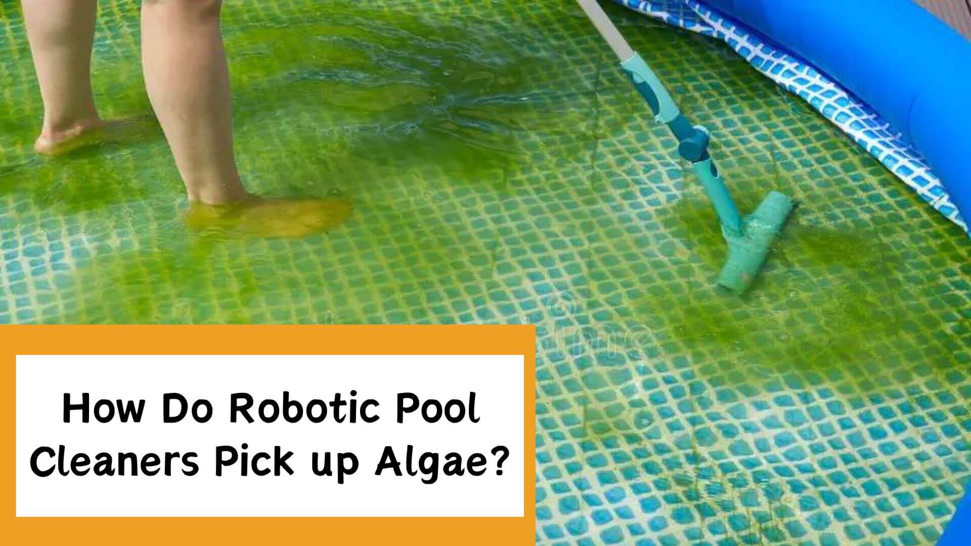 How Do Robotic Pool Cleaners Pick up Algae?