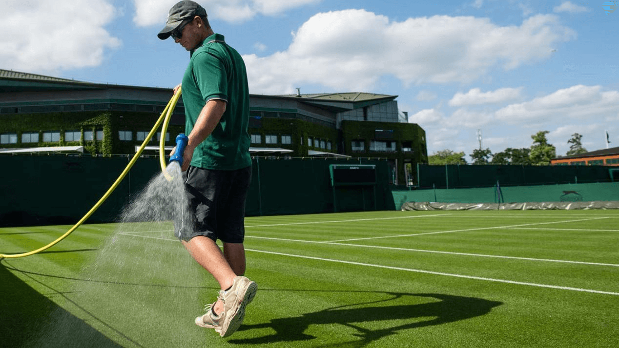 How to Achieve a Wimbledon-Inspired Lawn This Summer？
